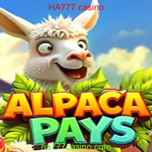 Descubra o Empolgante Jogo AlpacaPays no HA777 Casino