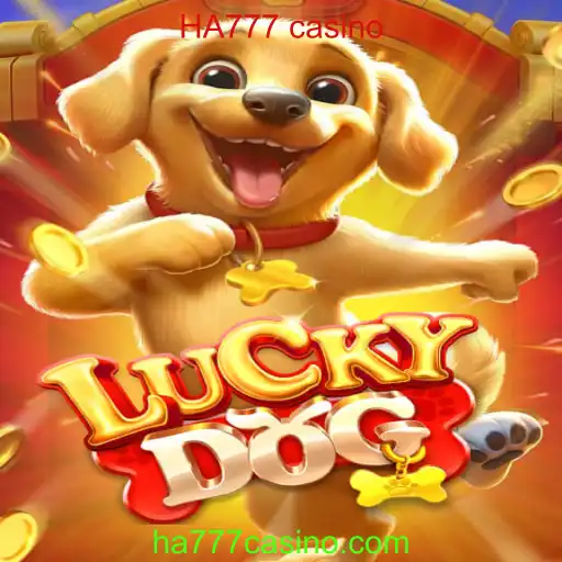 Explorando o Mundo do Jogo LuckyDog no HA777 Casino
